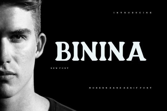 Binina Font: A Bold Serif Typeface for Digital Designers
