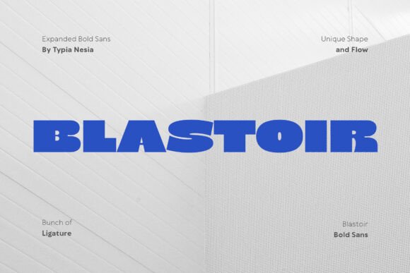 Blastoir: A Bold, Rounded Sans Serif Font for Modern Branding